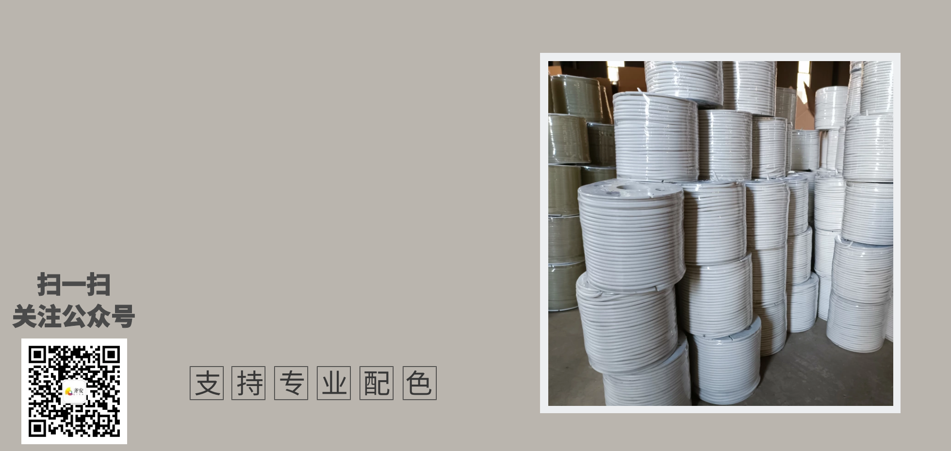 我們的專業(yè)
