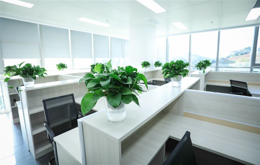 辦公室內(nèi)景